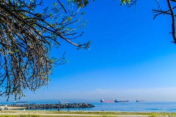 Çiroz Yeşilköy Halk Plajı - Resim 4