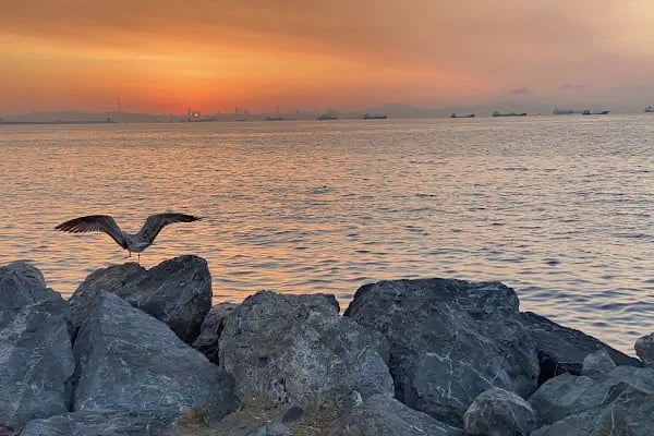 Çiroz Yeşilköy Halk Plajı - Resim 6