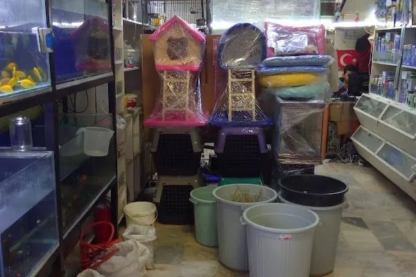 Stad Pet Shop - Resim 14