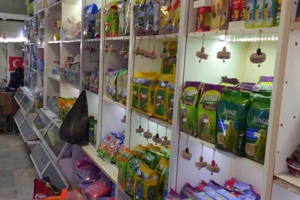 Stad Pet Shop - Resim 4
