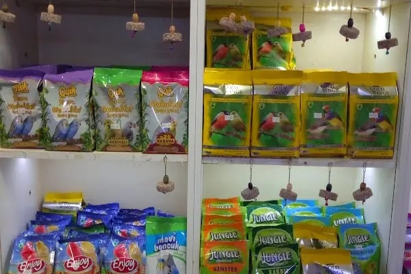 Stad Pet Shop - Resim 11