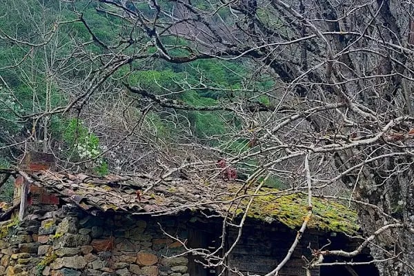 Akalan Aparı Şelaleleri - Resim 13