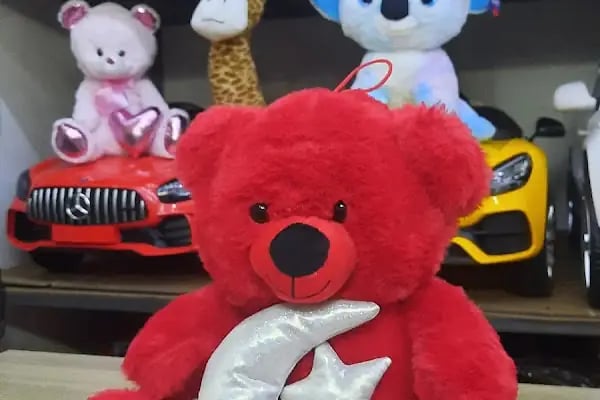 Sakarya Akülü Araba Dünyası | Sıfır İkinciel Akülü Araba Satışı Tamir Teknik Servis Akü ve Yedek Parça - Resim 7