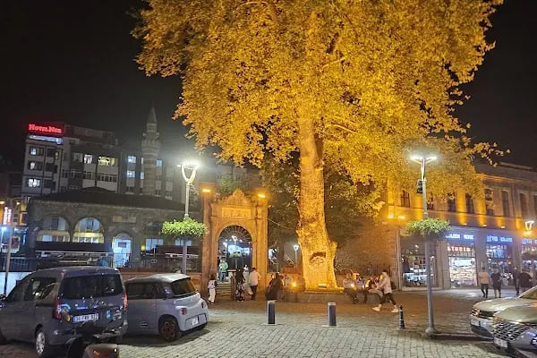 Trabzon Merkez Ağız ve Diş Sağlığı Polikliniği - Resim 9