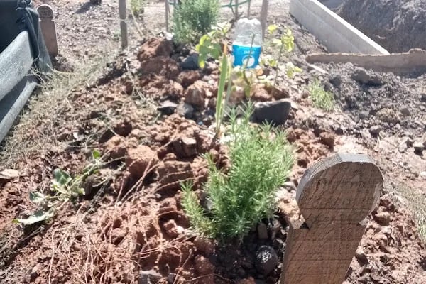 Darıca Balçık Mezarlığı - Resim 3