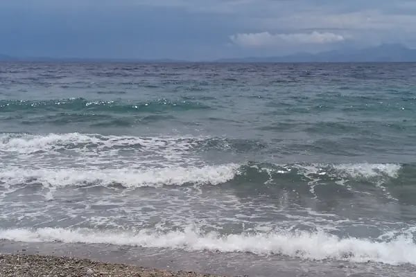 FOTO ÇETOK - Resim 6