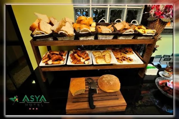 Hotel Asya - Resim 8