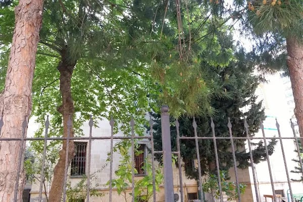 Nur Cami ( Arif Zaloğlu Camii ) - Resim 6