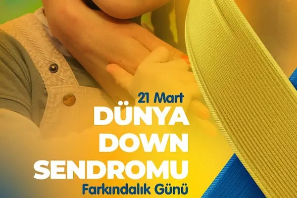 Adana İngilizce Kursu - TEOL Adana Dil Okulu Şubesi - Resim 20
