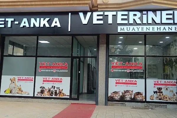 VET - ANKA Veteriner Kliniği GAZİANTEP ŞEHİTKAMİL - Resim 14