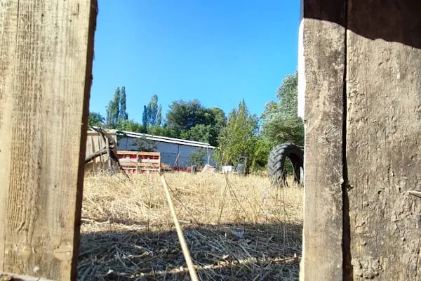 Paintball Kahramanmaraş - Resim 18