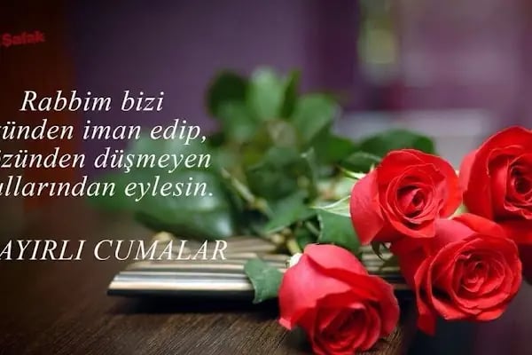 NEW STYLE KURU TEMIZLEME - Resim 18