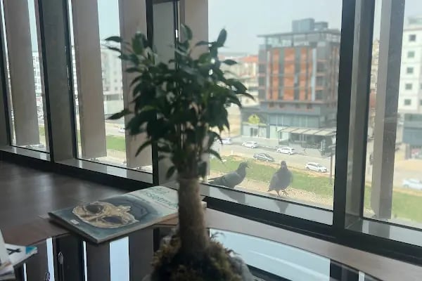Gaziantep TMS ve Psikiyatri Kliniği - Psikoterapi - Resim 5