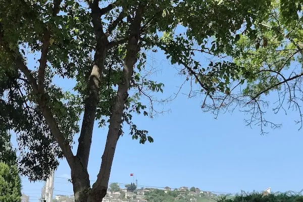 İzmit Müze Gemiler Müdürlüğü - Resim 12