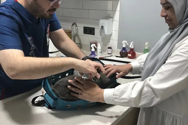 Vetmoon Veteriner Kliniği - Resim 13