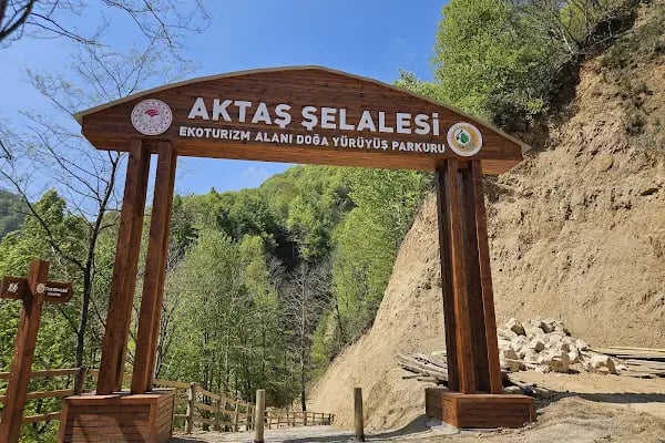 Aktaş Şelalesi - Resim 12