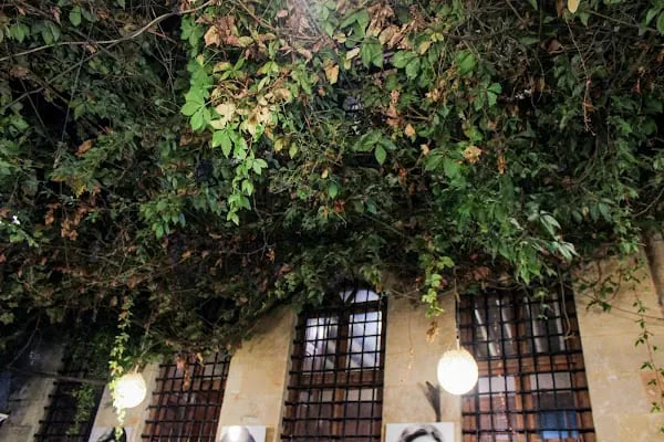 Bağdat Cafe - Resim 20