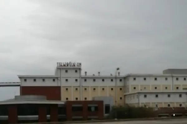 Tellioğlu Yem Fabrikası - Resim 3