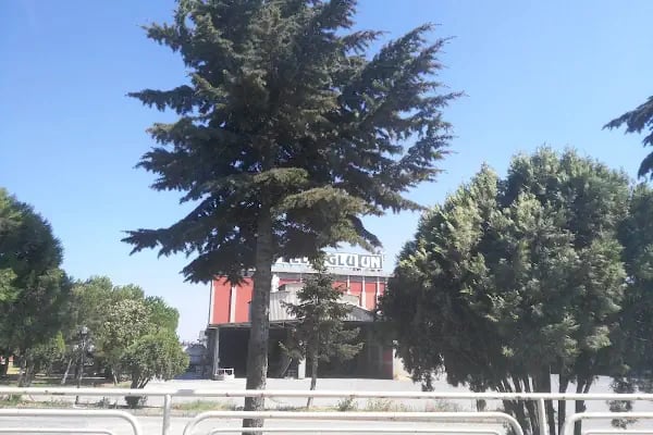 Tellioğlu Yem Fabrikası - Resim 2