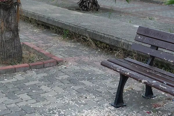 Mustafa Cumur Parkı - Resim 7