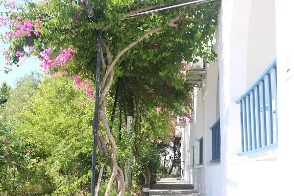 Urga Butik Otel - Resim 17