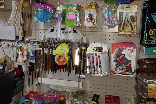 ON NUMARA PET SHOP - Resim 6