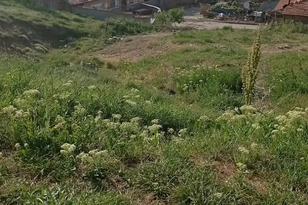 Ptt-çinçin Şubesi - Resim 4