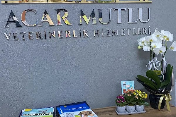 Acar Mutlu Veteriner Kliniği - Resim 10