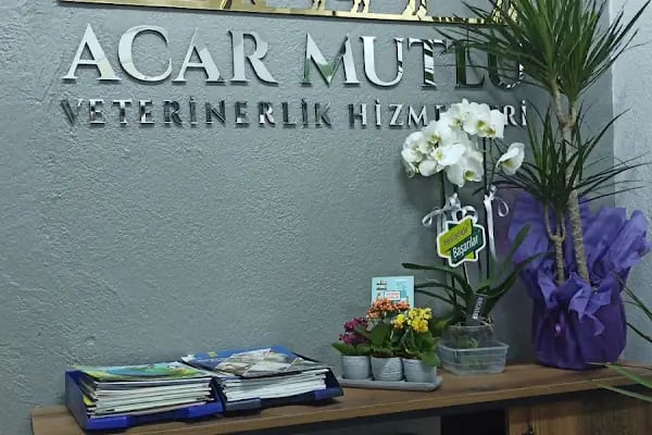 Acar Mutlu Veteriner Kliniği - Resim 14