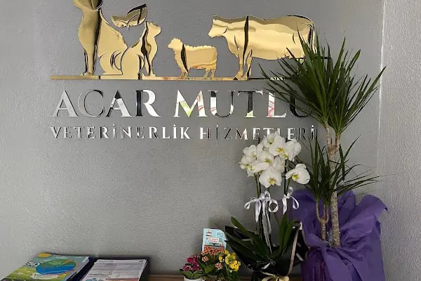 Acar Mutlu Veteriner Kliniği - Resim 3