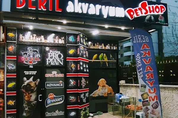 BERİL AKVARYUM PETSHOP - Resim 2