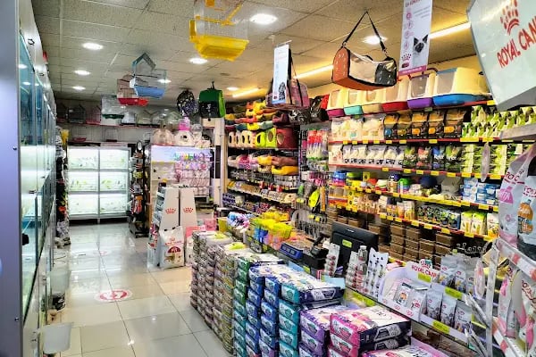 BERİL AKVARYUM PETSHOP - Resim 3