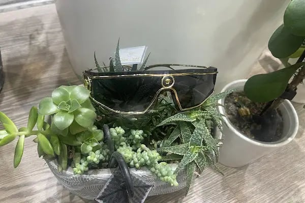Dilek Optik Alanya - Resim 4