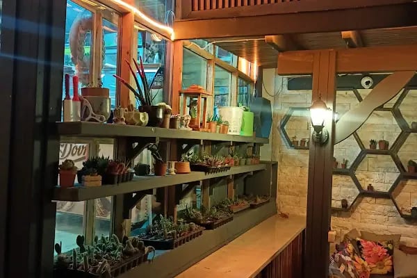 Woodruum çiçek cafe - Resim 5