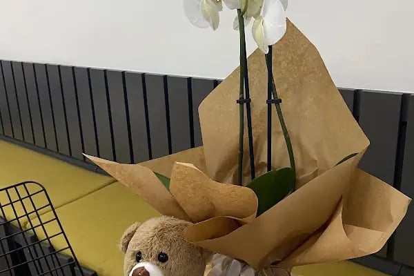 Ge-Çiçek Flower Shop - Resim 5