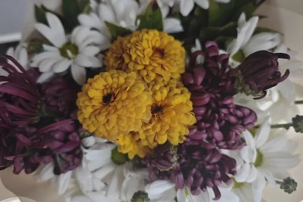 Ge-Çiçek Flower Shop - Resim 16