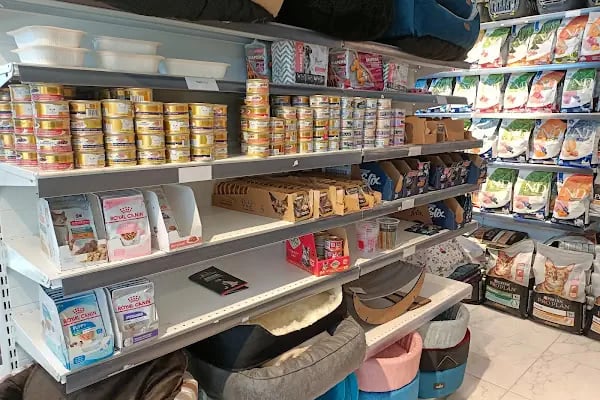 Petshop Evinde - Resim 8