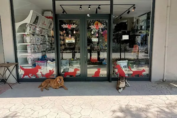 Petshop Evinde - Resim 18