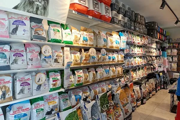 Petshop Evinde - Resim 2