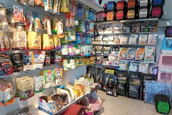 Petshop Evinde - Resim 3