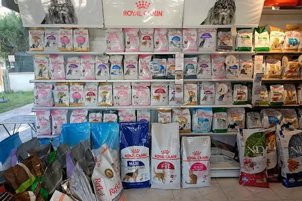 Petshop Evinde - Resim 10