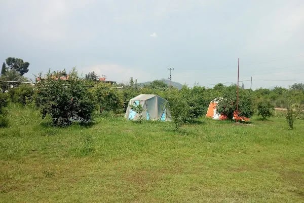 Dalyan Doğa Camping - Resim 18