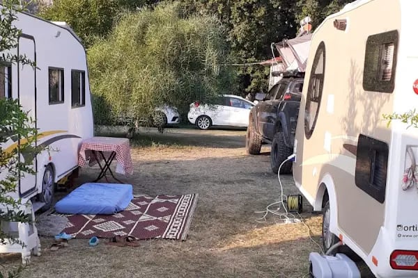 Dalyan Doğa Camping - Resim 20
