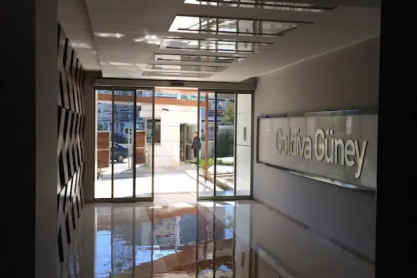 Goldiva Güney - Resim 2