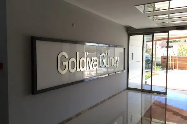 Goldiva Güney - Resim 5