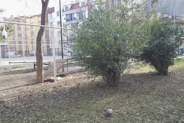Şht. J. Er Osman Özgerçik Parkı - Resim 17