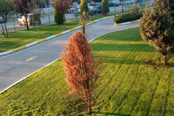 Vorne Pencere Ve Kapı Sistemleri Pazarlama - Resim 12