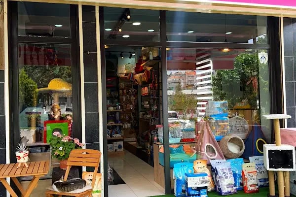 Bergama Petite Petshop - Resim 18