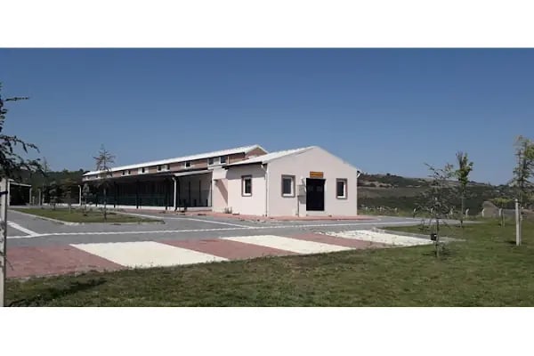 İnegol Belediyesi Sokak Hayvanları Tedavi Merkezi - Resim 19