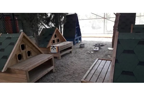 İnegol Belediyesi Sokak Hayvanları Tedavi Merkezi - Resim 15